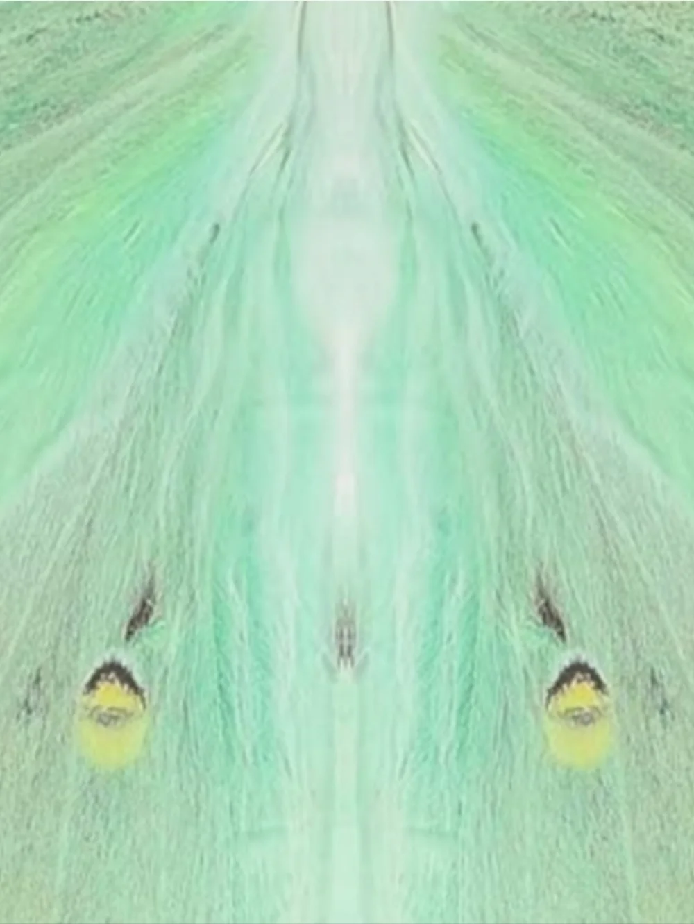 Mint Green Luna Moth Festival Butterfly Costume Set Fairy Wings Butterflies